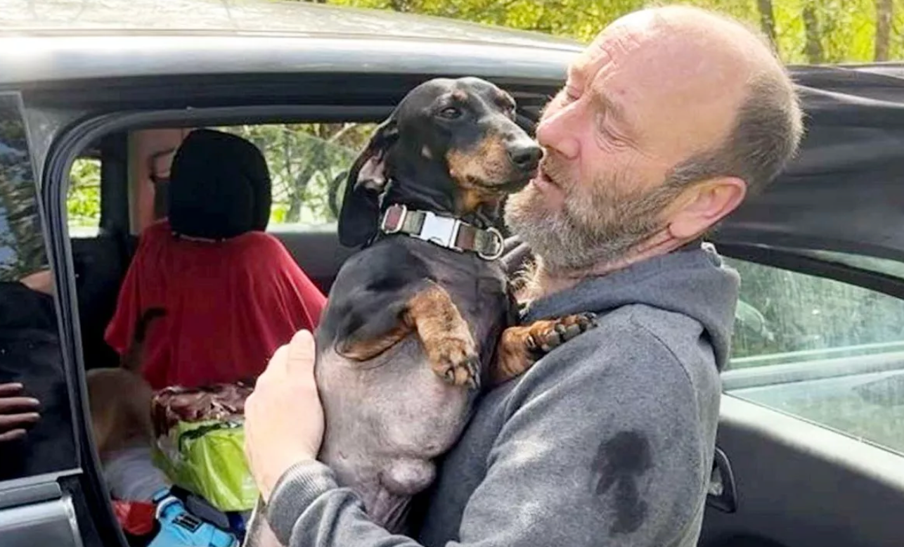 Man Living in His Car Faces Heartbreaking Choice: His Beloved Dogs or a Permanent Home